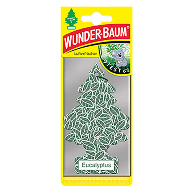 WUNDER BAUM EUCALYPTUS